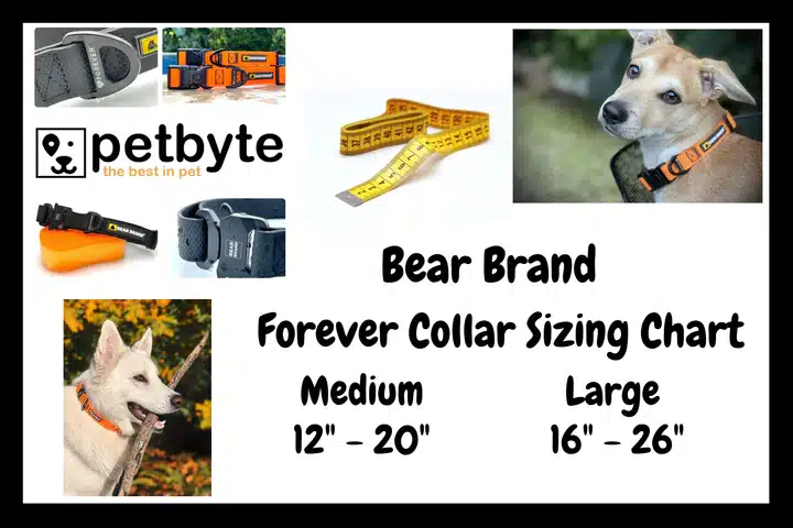 BEAR BRAND "Forever" Collar Plastic Buckle Black - Image 6