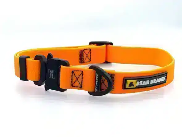 BEAR BRAND "Forever" Collar Metal Buckle Orange