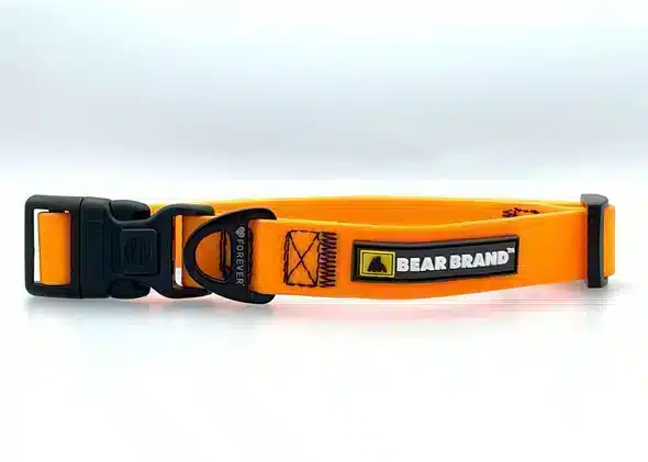 BEAR BRAND’s Orange Forever™ Collar: A Lasting Symbol of Your Bond with Your Dog