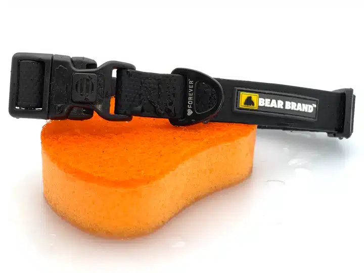 BEAR BRAND "Forever" Collar Plastic Buckle Black - Image 2