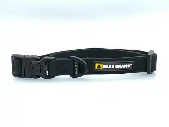 BEAR BRAND "Forever" Collar Plastic Buckle Black