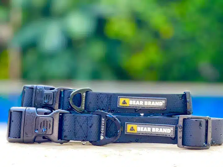 BEAR BRAND "Forever" Collar Plastic Buckle Black - Image 4