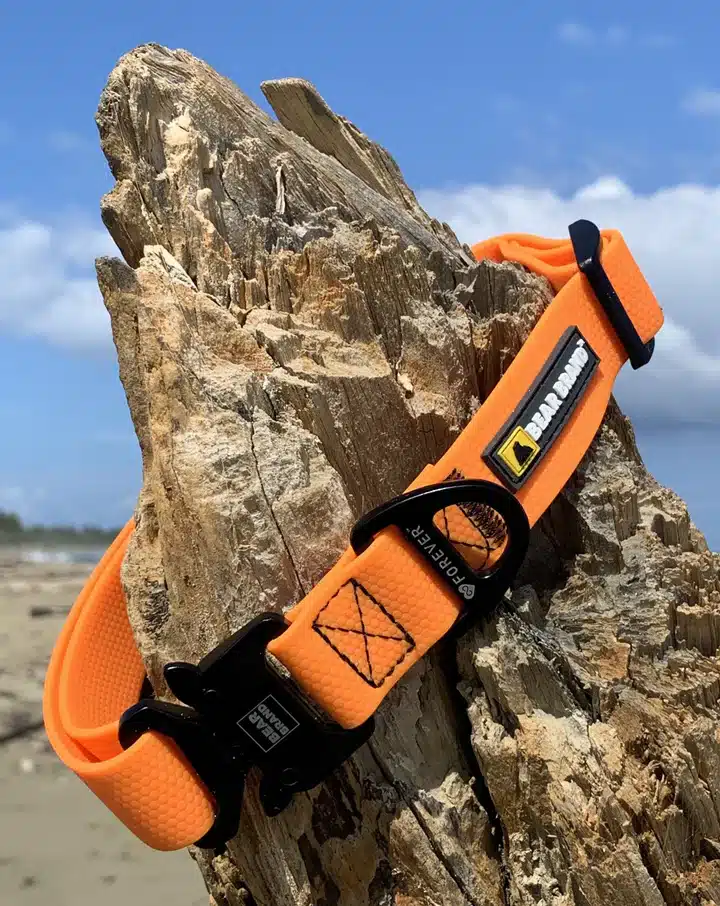 BEAR BRAND "Forever" Collar Metal Buckle Orange - Image 3