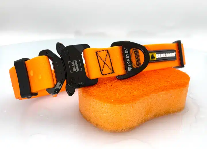BEAR BRAND "Forever" Collar Metal Buckle Orange - Image 2