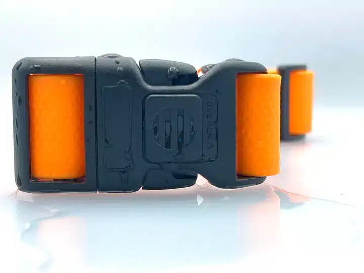 BEAR BRAND’s Orange Forever™ Collar: A Lasting Symbol of Your Bond with Your Dog - Image 3