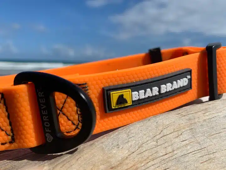 BEAR BRAND’s Orange Forever™ Collar: A Lasting Symbol of Your Bond with Your Dog - Image 4