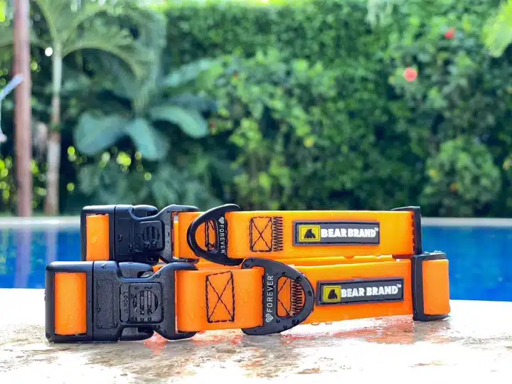 BEAR BRAND’s Orange Forever™ Collar: A Lasting Symbol of Your Bond with Your Dog - Image 5